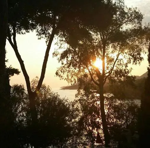 公寓 Laguna Blu Casa Sul Mare 切法卢